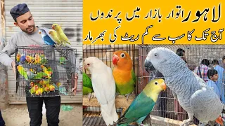 Lahore Sunday Birds Market Parindo Ki Bharmar // #lahori #lahorientertainmentchannel