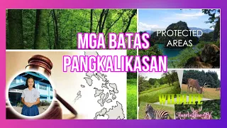 MGA BATAS PANGKALIKASAN  (Environmental Laws In The Philippines)BY ANGELA NICOLE BARLIZO