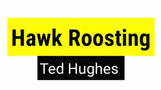 Hawk Roosting by Ted Hughes in hindi summary and line by line explanation