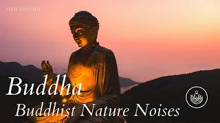 Buddha Music - Zen Music 安堵 15 Minutes to Find Your Inner Peace