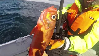 МОРСКАЯ ВЕСЕННЯЯ РЫБАЛКА / MARINE SPRING FISHING