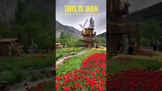 Travel Iran #shorts #iran #youtubeshorts #iranvlog #keukenhof