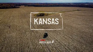 In Search of Big Kansas Whitetail