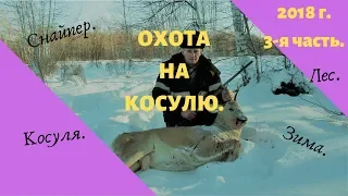 Охота на косулю. Часть 3.Удалось взять трофей.