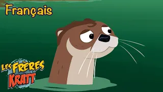 Glissette Las Loutre | Saison 3 [épisode complet] Les Frères Kratt