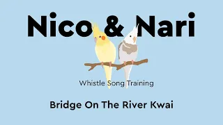 Bridge On The River Kwai ~ Parrot Whistle Training