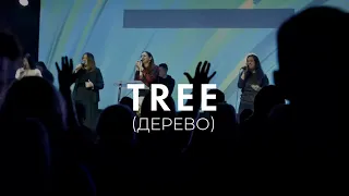 Дерево | Tree - Justin Rizzo (Cover)