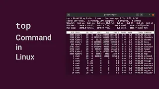 Top command in Linux