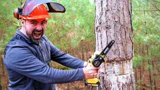 Testing the Smallest Chainsaw on Amazon! Felling a HUGE TREE! 🌳