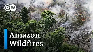 Amazon rainforest burning at a record rate | DW News