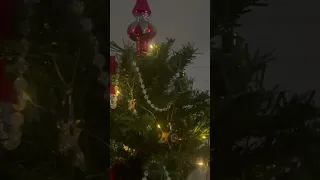 Ельфи з Jusk готові до нового року❄️🎄☃️