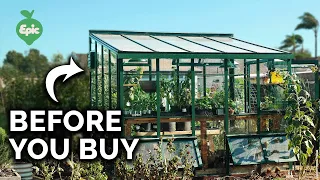 What I Wish I Knew Before I Got A Greenhouse