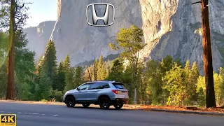 Our Road Trip Through Yosemite in the Honda Passport! | Vlog & Behind the Scenes