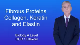 A Level Biology Revision "Fibrous Proteins"