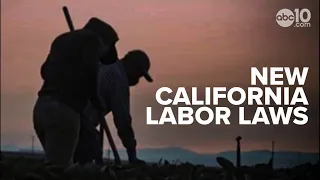 New California Laws | State minimum wage rising to $15.50/hour