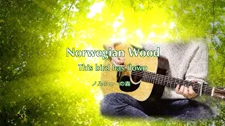 Norwegian Wood (This bird has flown) ノルウェーの森 - The Beatles karaoke cover