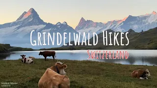 Grindelwald Switzerland - Grindelwald First - Bachalpsee 4K