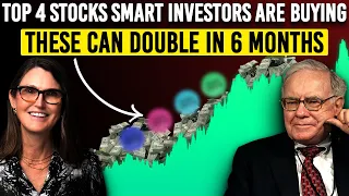 You Only Need 4 Stocks To Get Rich By December 2024, Buy The Dip And Hold For 2x Returns
