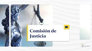 Comisión de Justicia - 07/03/2024 (traducción)