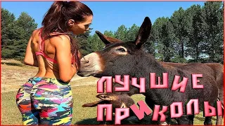 ПРИКОЛЫ ТИК ТОКА 😀#18НАРЕЗКИ ТИК ТОКА😀  УГАРНЫЕ ПРИКОЛЫ2022😀 ПРИКАЛЮХА