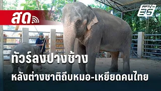 🔴 Live เที่ยงทันข่าว | ทัวร์ลงปางช้างหลังเจ้าของต่างชาติถีบหมอ-เหยียดคนไทย | 1 มี.ค. 67