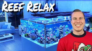 A new era begins - SECOND CHANNEL "reef relax" #reeftank #aquarium #saltwater #hyperhyper