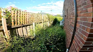 Overgrown Garden TRANSFORMATION | Total Yard Cleanup