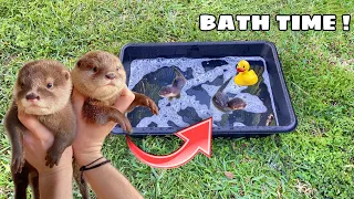 GIVING BABY OTTERS A BUBBLE BATH !