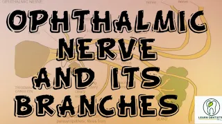Ophthalmic Nerve | Trigeminal Nerve Part II#oralsurgery #nerves