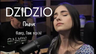 DZIDZIO - Павук (Кавер, Панк версія)