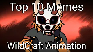 Top 10 WildCraft Animation Meme #1
