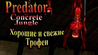 Прохождение Хищник Бетонные Джунгли (Predator Concrete Jungle) - часть 3 - Хорошие и свежие Трофеи