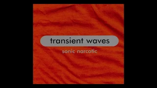 Transient Waves - 8:80