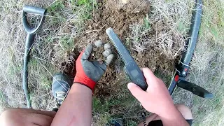 Minelab Go-Find 44 field test. Part 3