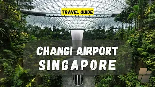 A Journey Through Singapore Changi Airport - The Epitome of Travel - Travels Chronicles