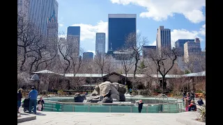 Central Park Zoo |  Winter 2024 | New York City