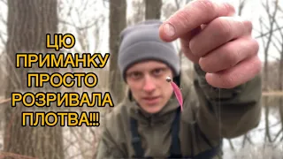 Шалена тарань на мормишку🔥🔥🔥. Спінінгом переловлюю поплавочників!