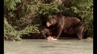 Voyage au coeur de la Sibérie - Documentaire