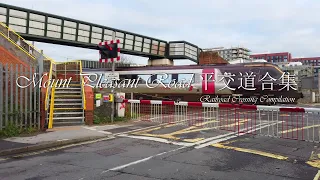 Mount Pleasant Road 平交道合集 Mount Pleasant Road Railroad Crossing Compilation