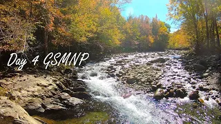 Fly Fishing the MIDDLE PRONG Little Pigeon River (Day 4 - GSMNP)