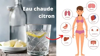 Eau chaude citron  - 10 bienfaits de boire de l'eau chaude au citron tous les matins