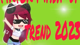 tiktok mashup 2023 trend