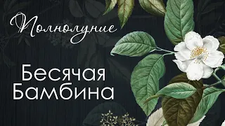 714.ᛝ 🍉 БАМБИНА СОПЕРНИЦА КАК ОПОЗОРИЛАСЬ И ТЕПЕРЬ ПОЖИВАЕТ О ЧЁМ ДУМАЕТ И МЕЧТАЕТ, ЧТО ЗАМЫШЛЯЕТ