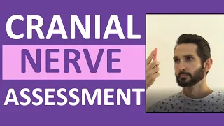 Cranial Nerve Examination Nursing | Cranial Nerve Assessment I-XII (1-12)