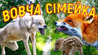 Історія, що вражає. Гумореска Павла Глазового "Вовча сімейка".