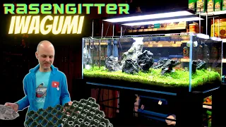 Wir bauen ein Iwagumi-Aquascape mit Rasengittern | Iwagumi einrichten