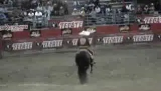 Ezequiel Pena "Feria del Caballo Espanol"