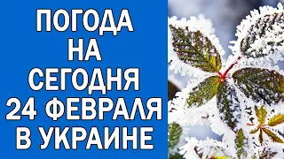 ПОГОДА НА 24 ФЕВРАЛЯ : ПОГОДА НА СЕГОДНЯ