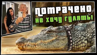 ПОТРАЧЕНО. Не хочу гулять! Смешные видео, приколы 2020