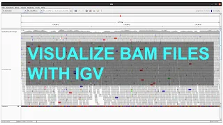 IGV (Integrative Genome Viewer) Software Tutorial | Howto visualize bam files | Episode 1